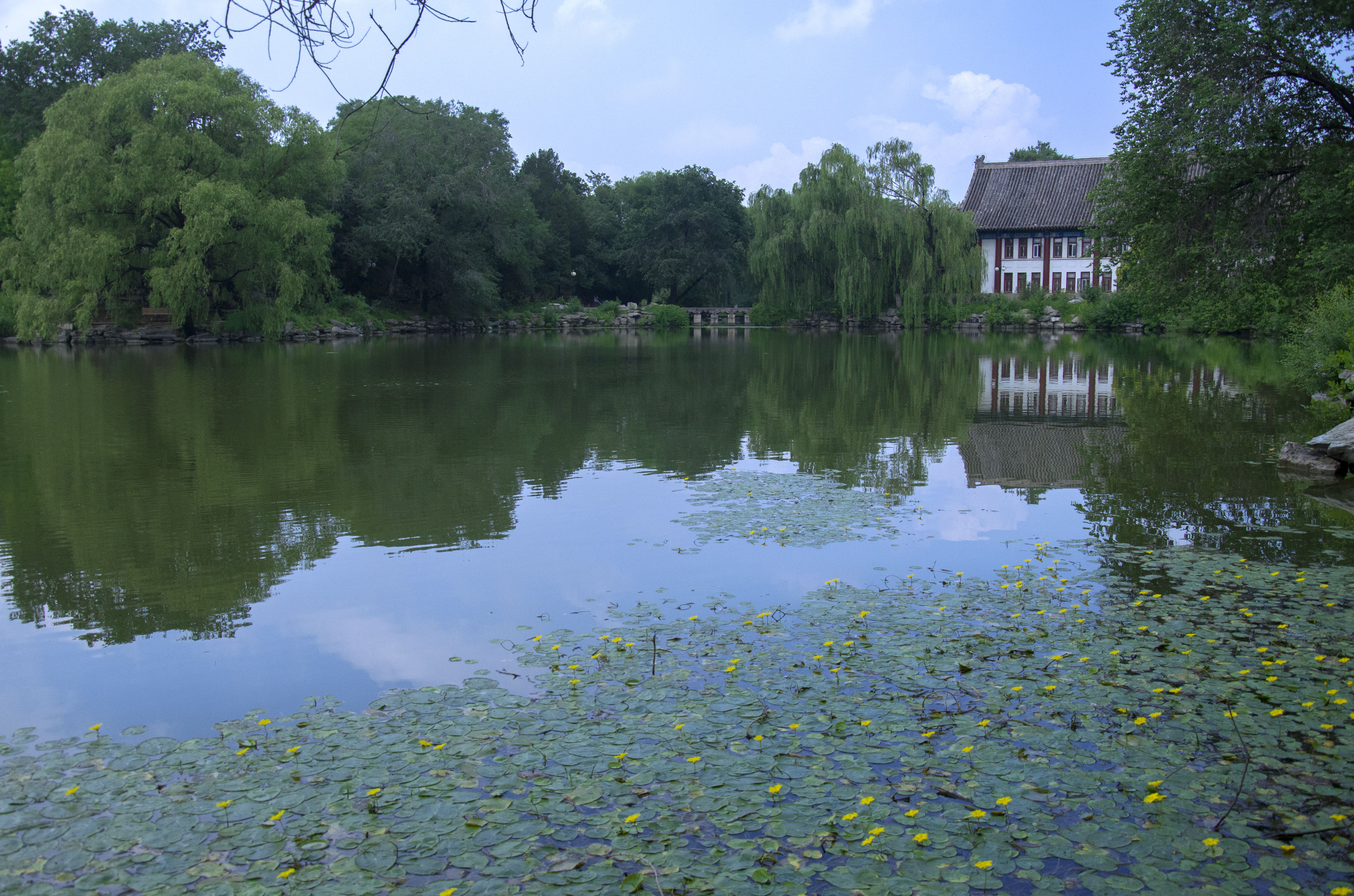 北京大学