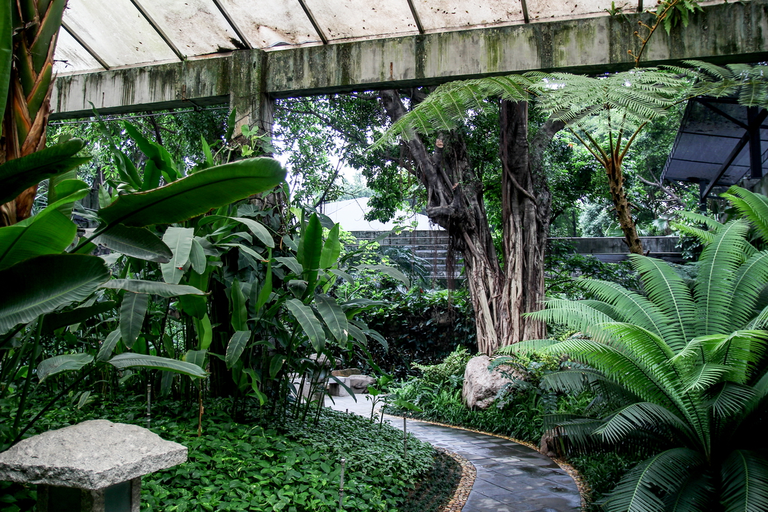 荫生植物园 珠江公园(100d交流)