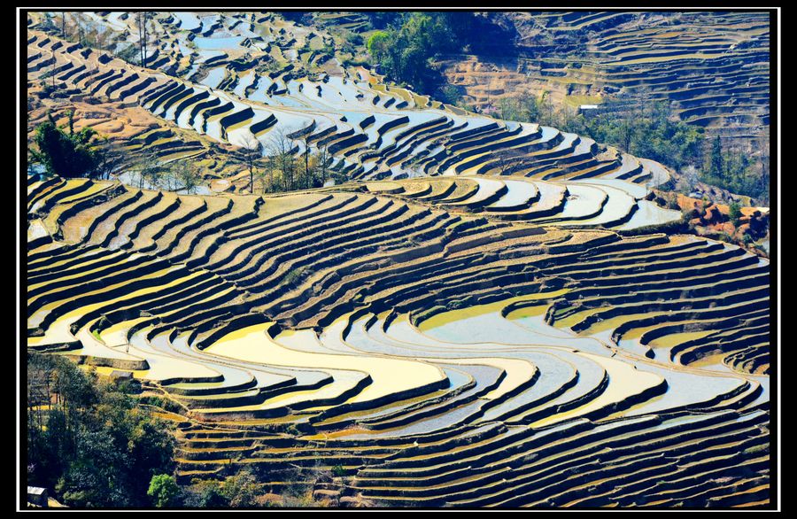 色彩斑斓的元阳哈尼梯田——坝达景区(1)