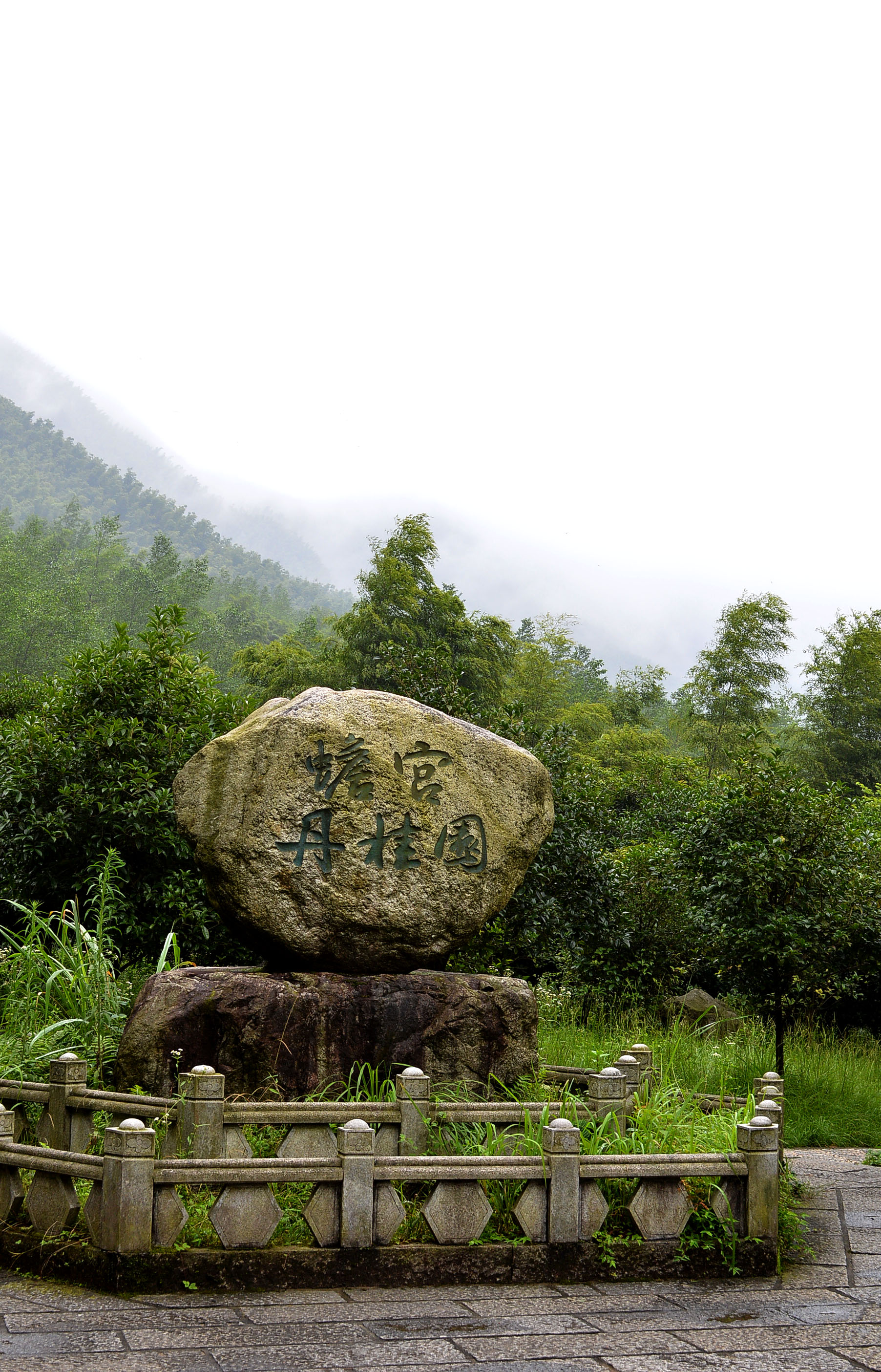 明月山风光