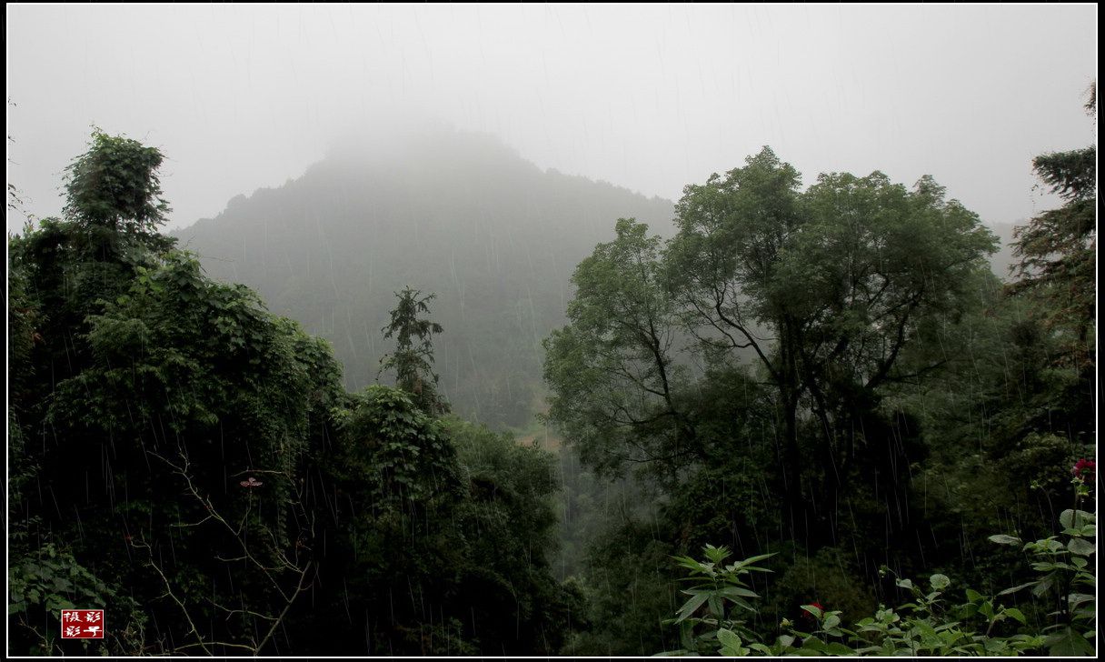 雨中游柏林石笋山(重庆)