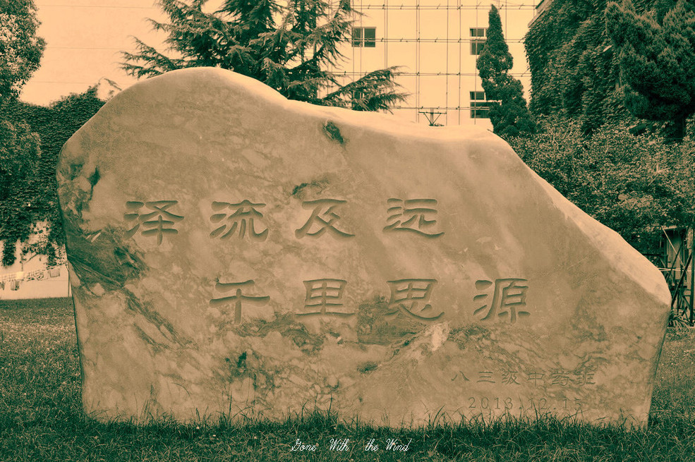 让一切随风而去