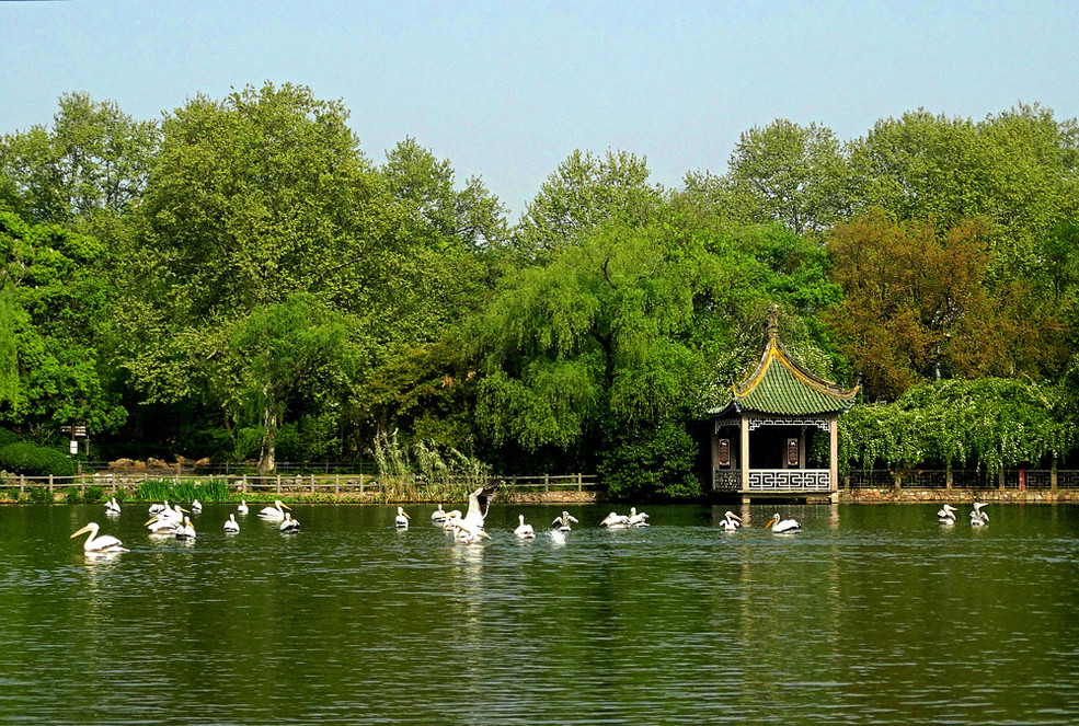 西郊公园景色拾零