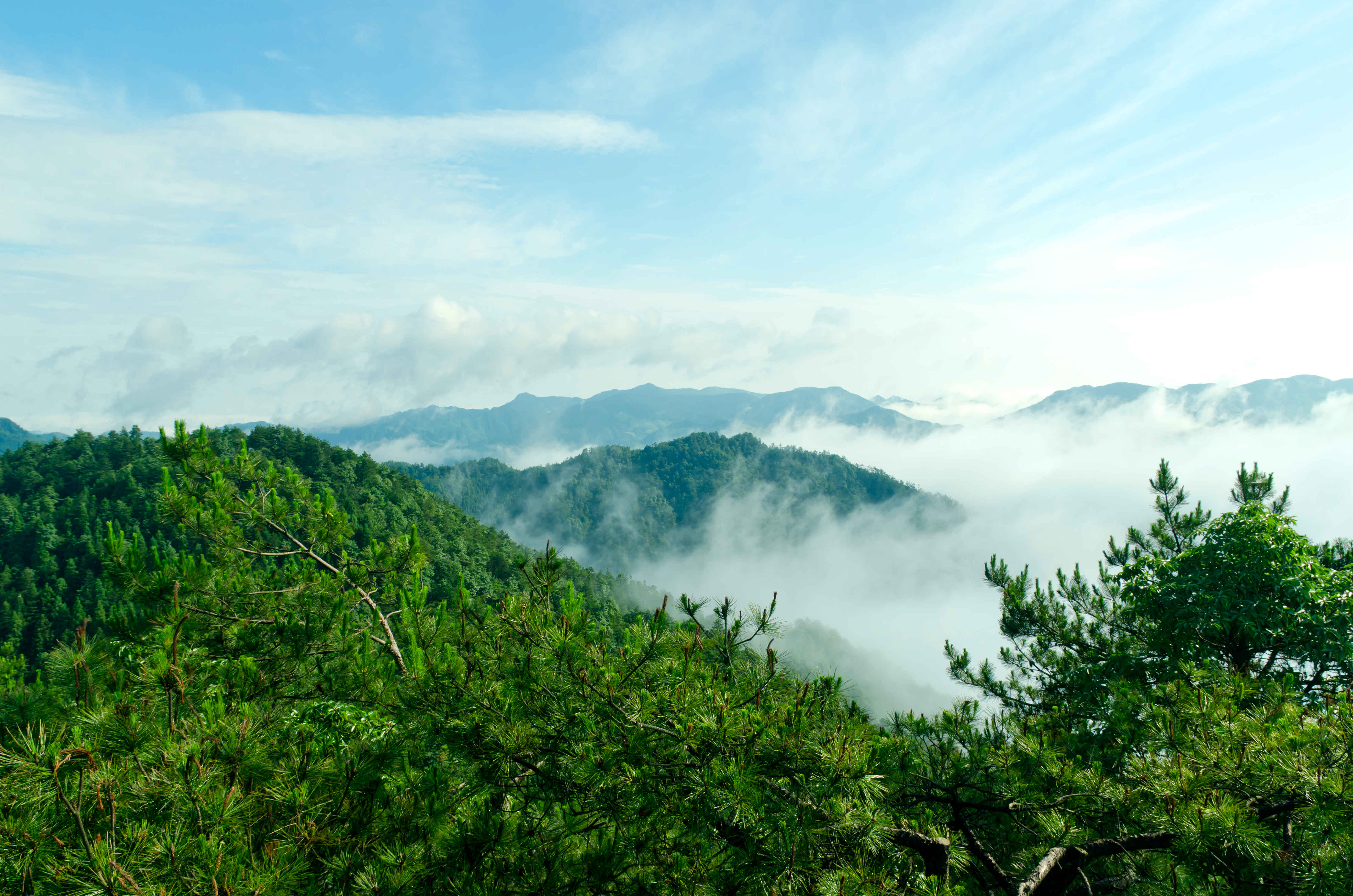 清晨之雨后铜铃山