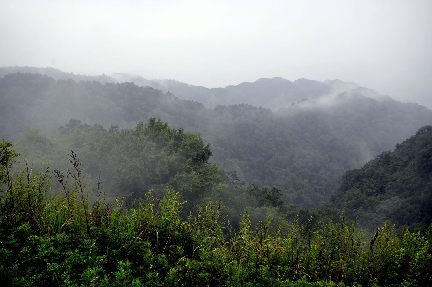 雨中黄龙山