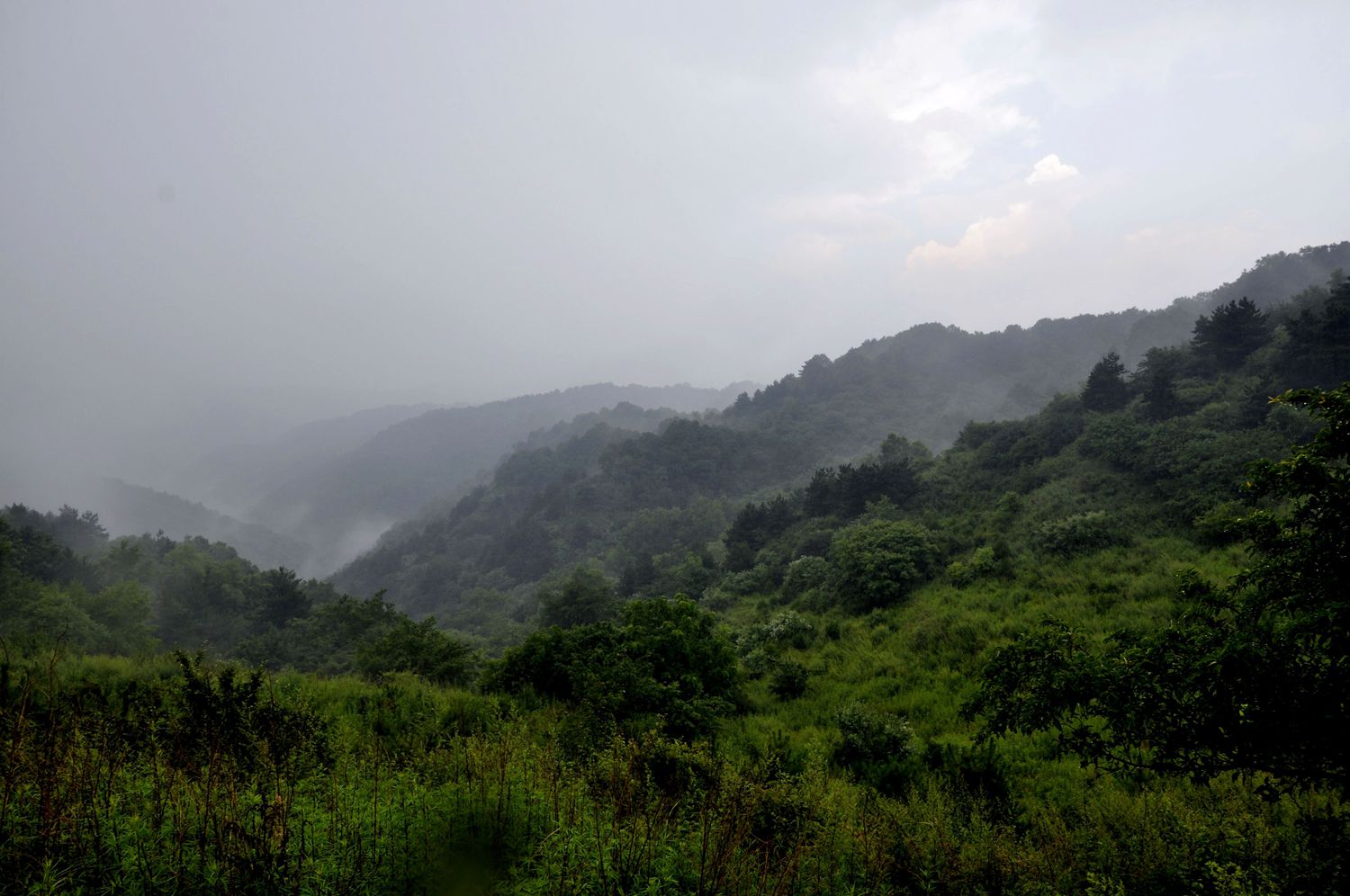 雨中黄龙山