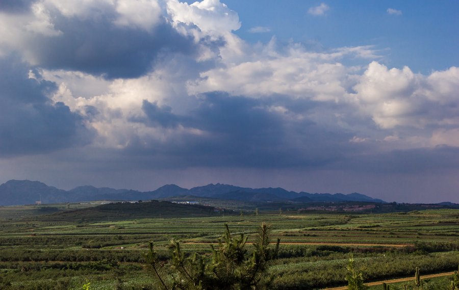 故乡的风景