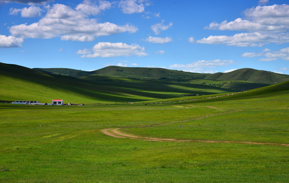 旅游纪实图片 美丽的内蒙古 (13)--草原 牧人 马