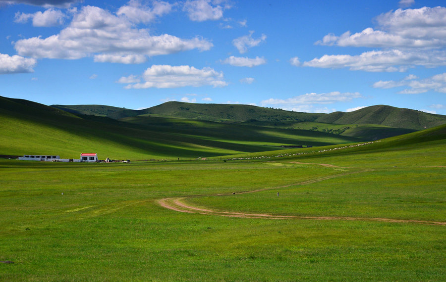 旅游纪实图片 美丽的内蒙古>(13)--草原 牧人 马牛羊之 科尔沁草原