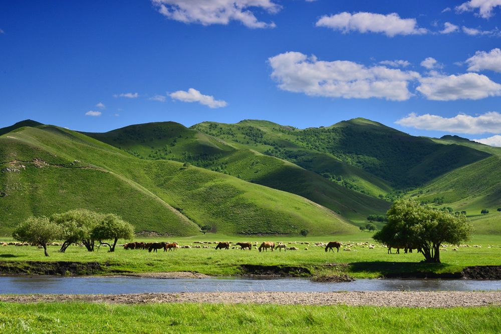 旅游纪实图片美丽的内蒙古13草原牧人马牛羊之科尔沁草原