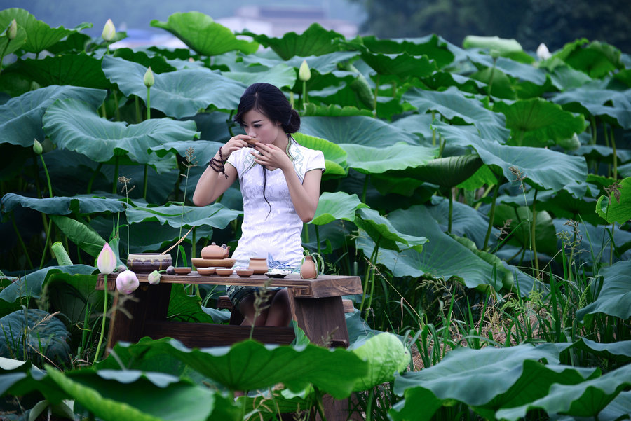 【荷花人像摄影图片】人像摄影_太平洋电脑网摄影部落