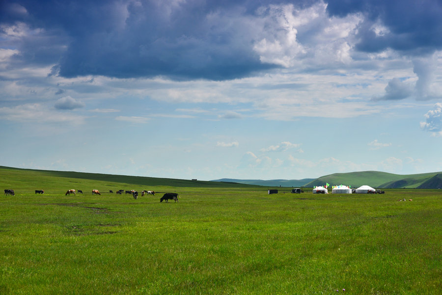 旅游纪实图片<美丽的内蒙古>(15)--草原 牧人 马牛羊之 呼伦贝尔草原(中)