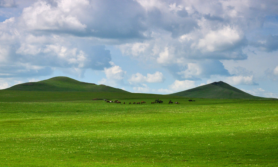 旅游纪实图片 美丽的内蒙古>(15)--草原 牧人 马牛羊之 呼伦贝尔草原