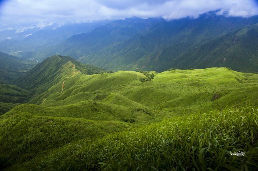 桂林天湖水库之高山草甸 (共p)