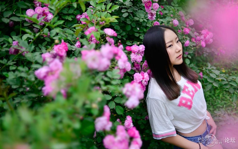 花海美女壁纸:那片花海中的女孩