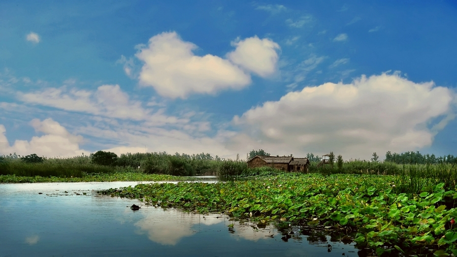 【洪泽湖湿地公园摄影图片】风光旅游摄影