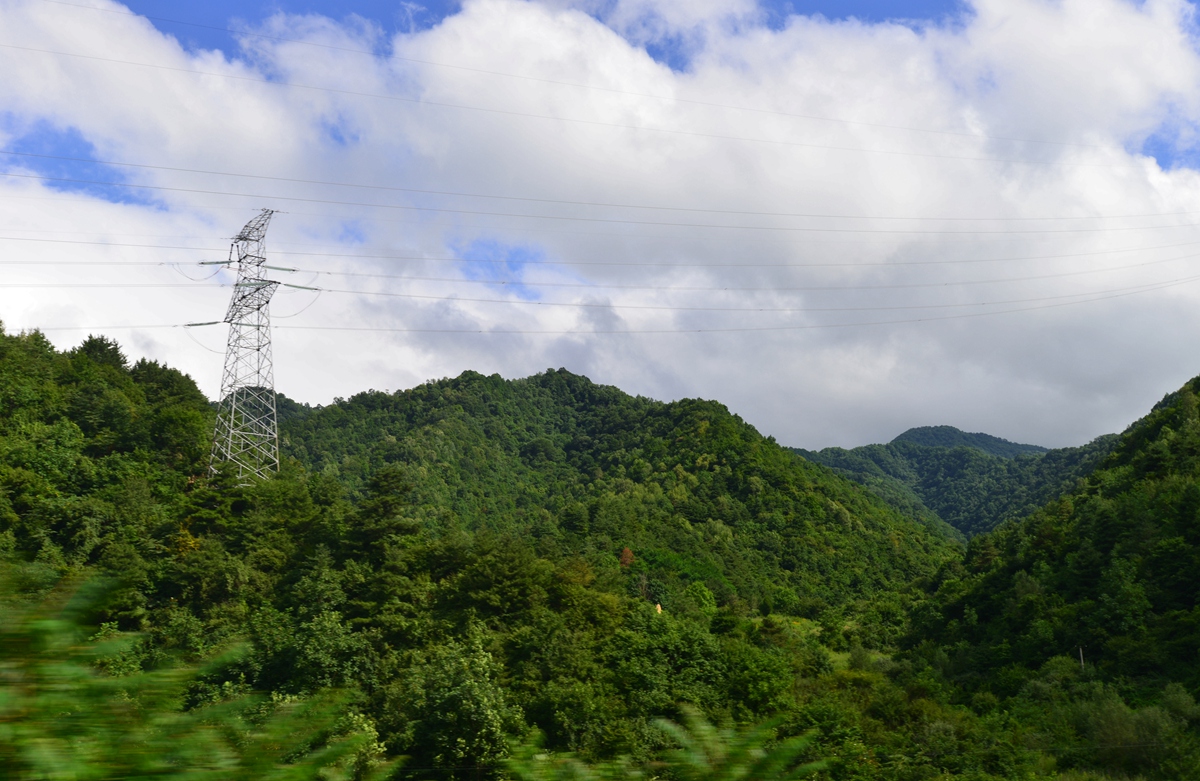 秦岭风景