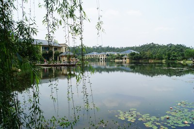 8月3日七夕甜蜜婚纱、婚房、传统婚礼主题摄