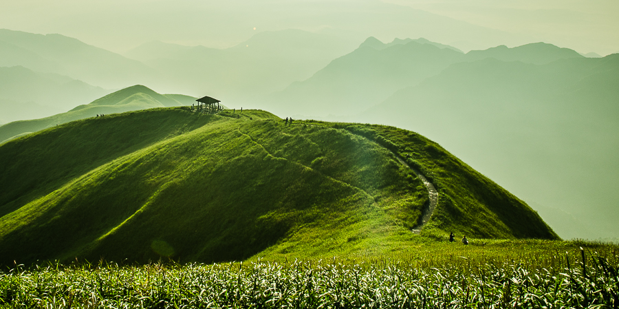 高山草甸