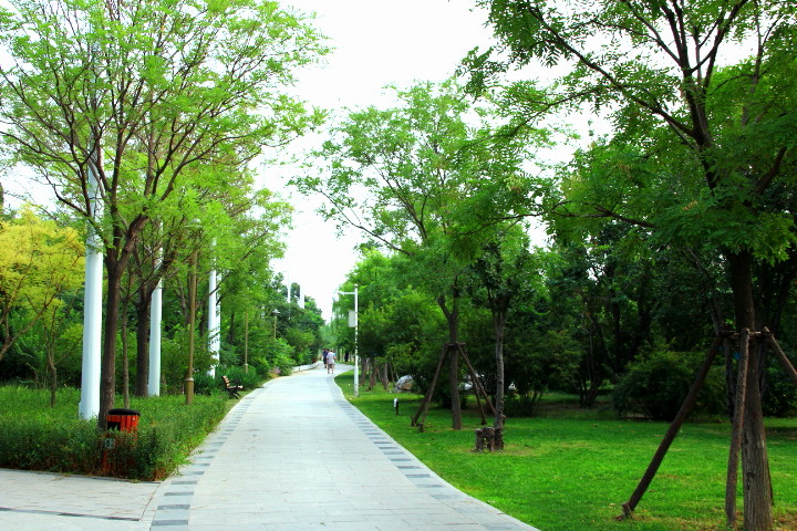 公园的早晨