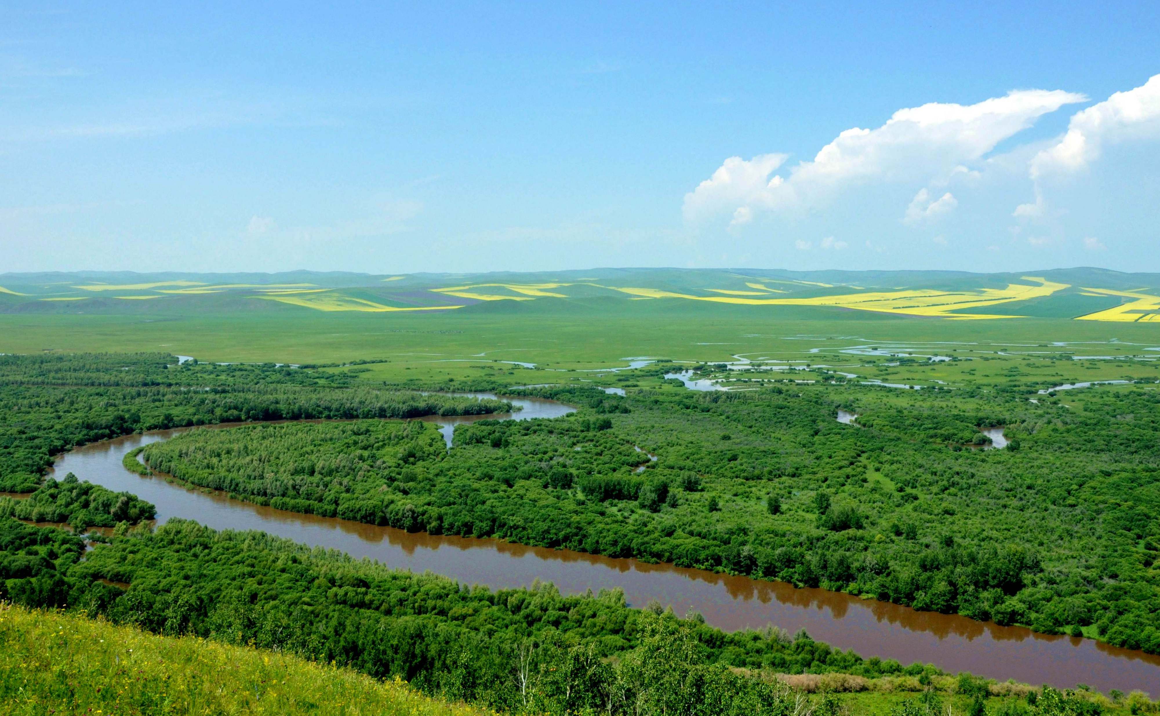 内蒙古根河被称为“中国冷极” 冬牧牛群与冰雪宛如一幅美丽冬景图