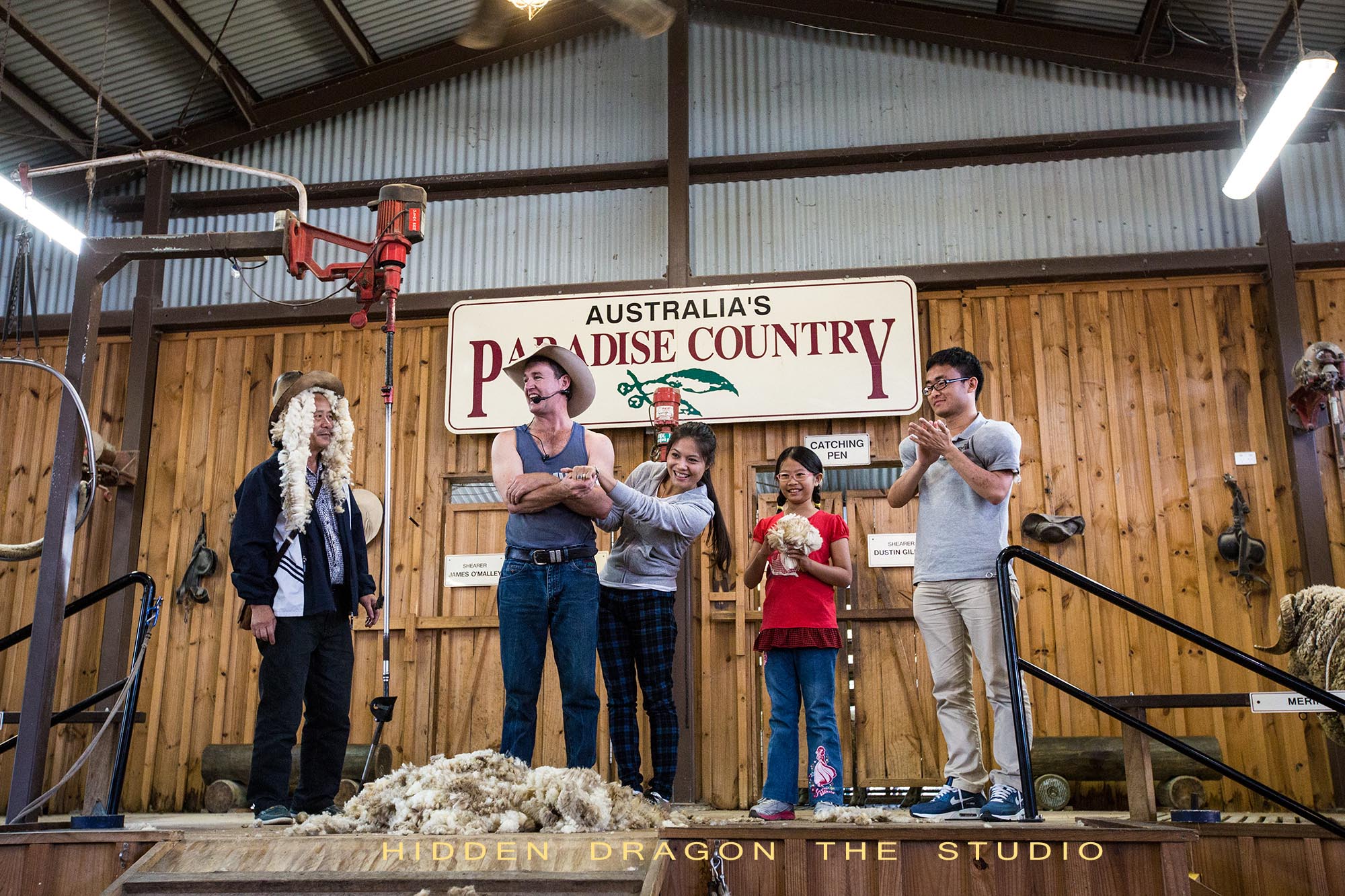 澳大利亚剪羊毛表演-中关村在线摄影论坛