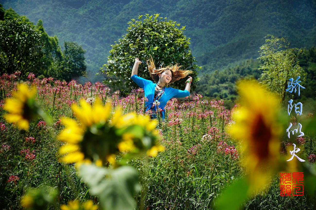 夏天旳味道-----骄阳似火