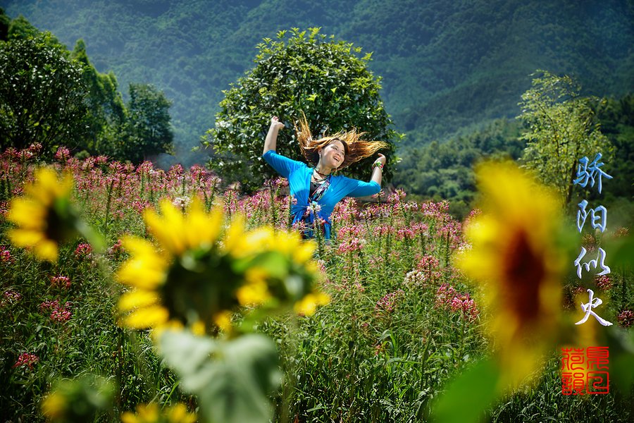 夏天旳味道骄阳似火