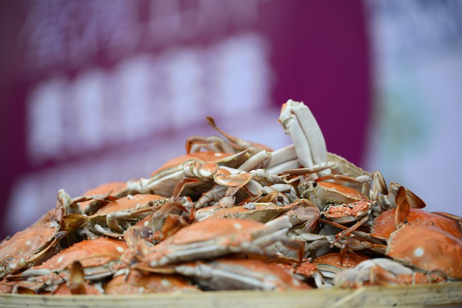 【2014黄岛啤酒嘉年华美女美食还有美酒v啤酒美食家a啤酒Tach饭图片