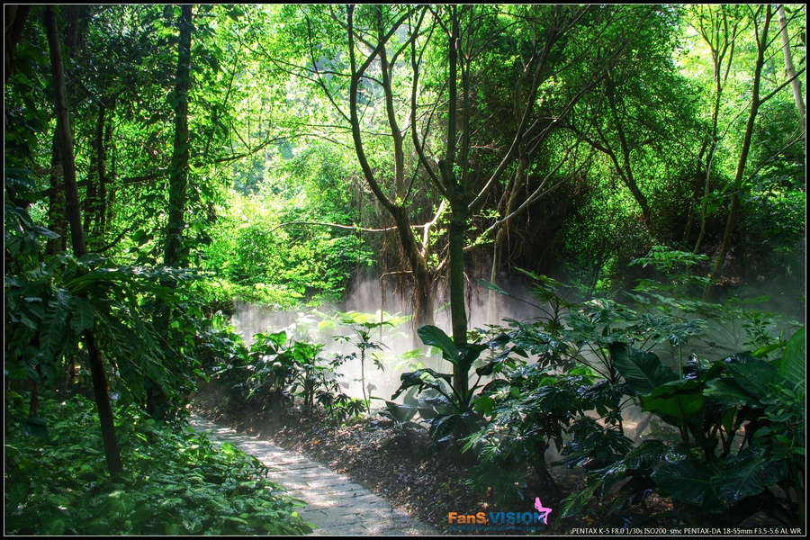 【厦门万石植物园的雨林世界--K5摄影图片】生