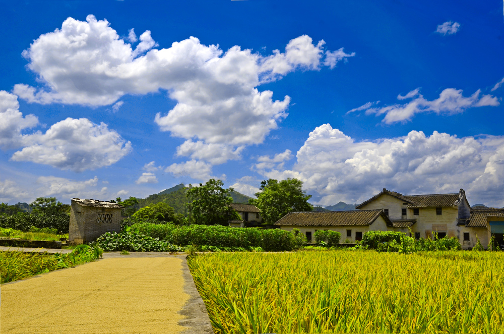 梅州山村风光美