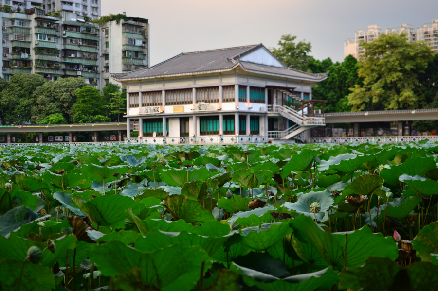 荔湾湖公园