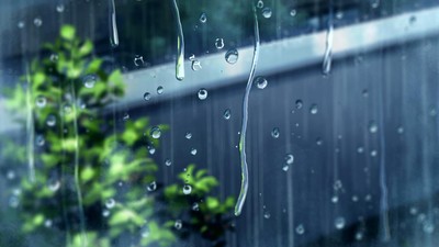 《言叶之庭》手绘动漫高清电脑桌面