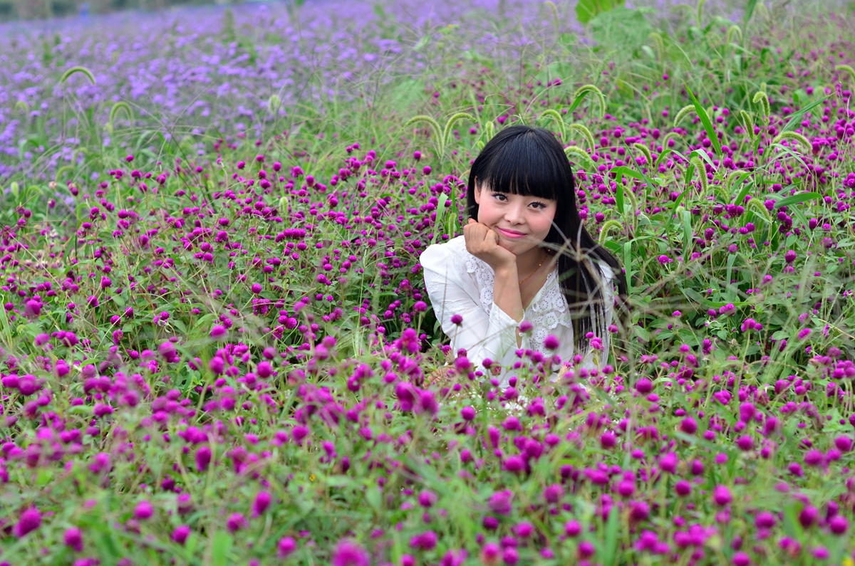 花海姑娘