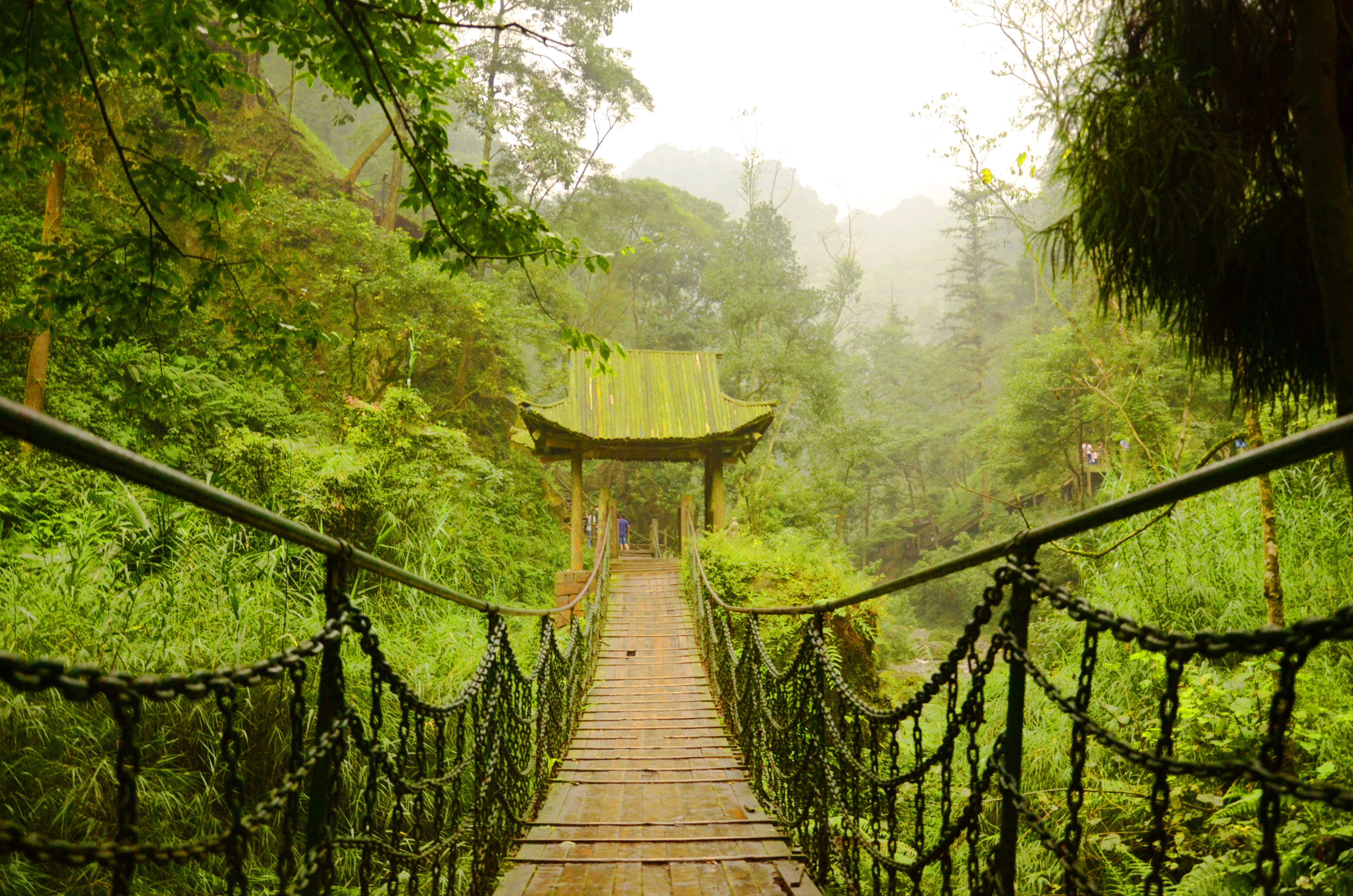 峨眉山风景照