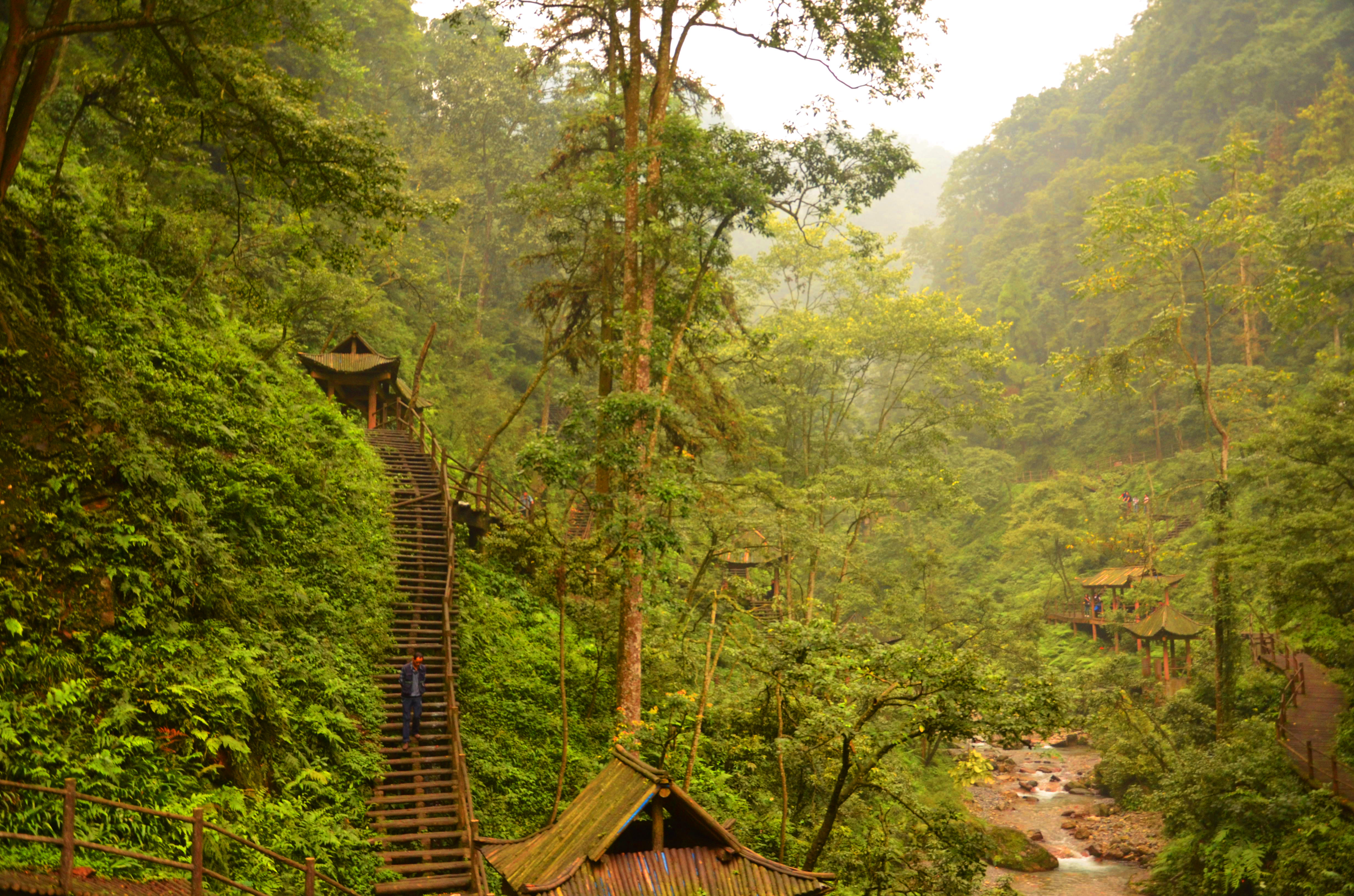 峨眉山风景照