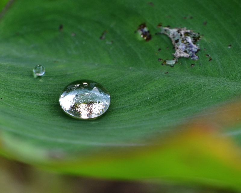 小水珠