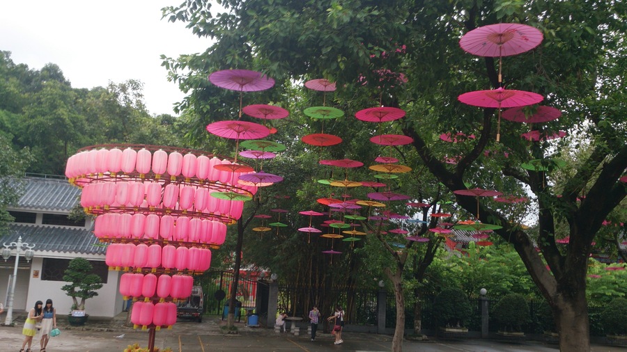 【花儿为什么那么红,引美人低垂泪摄影图片】