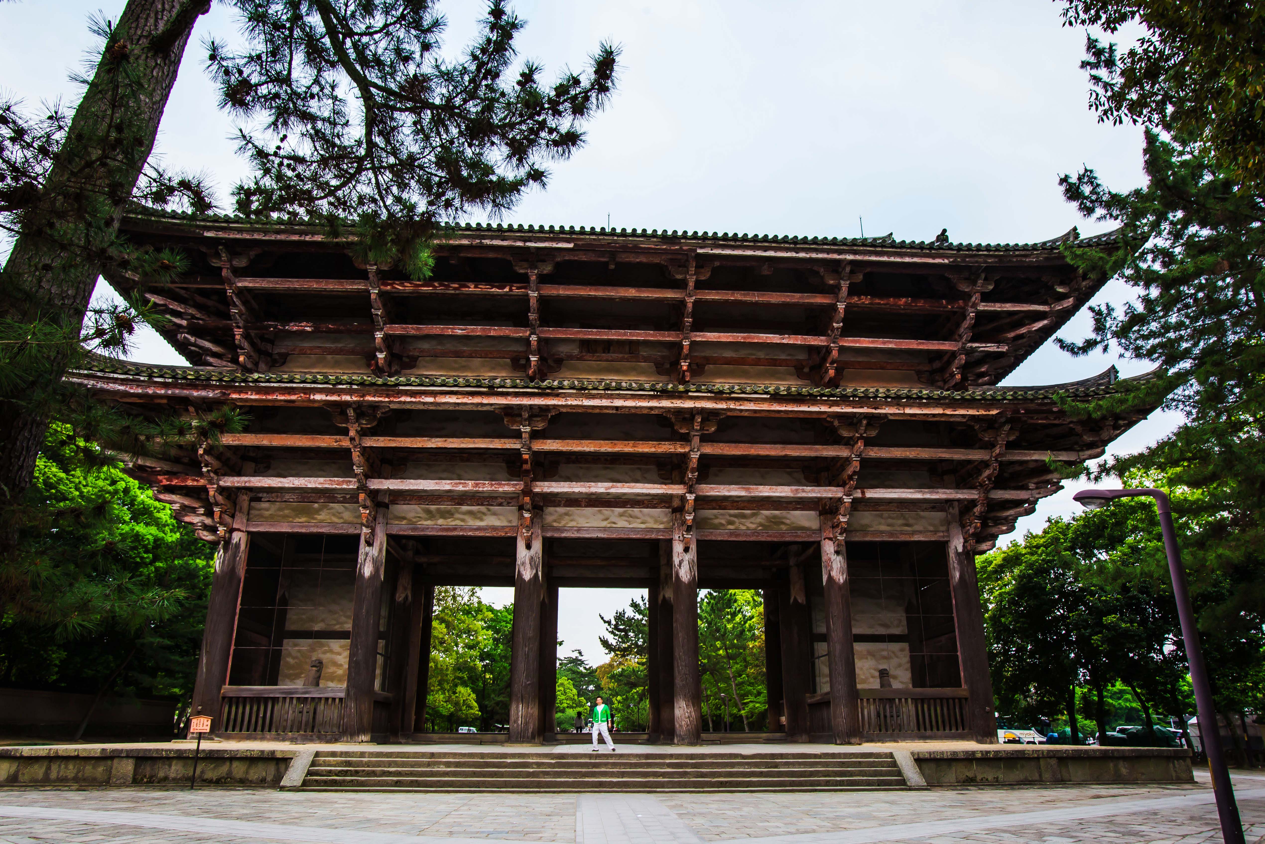 遇见日本 | 最后一站：闲逛距今一千多年历史的东大寺_奈良