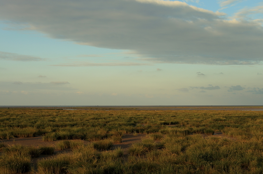 【南通洋口港摄影图片】风光旅游摄影
