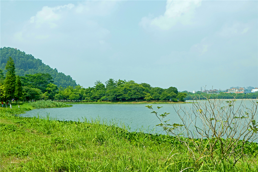 青山绿水顺峰山