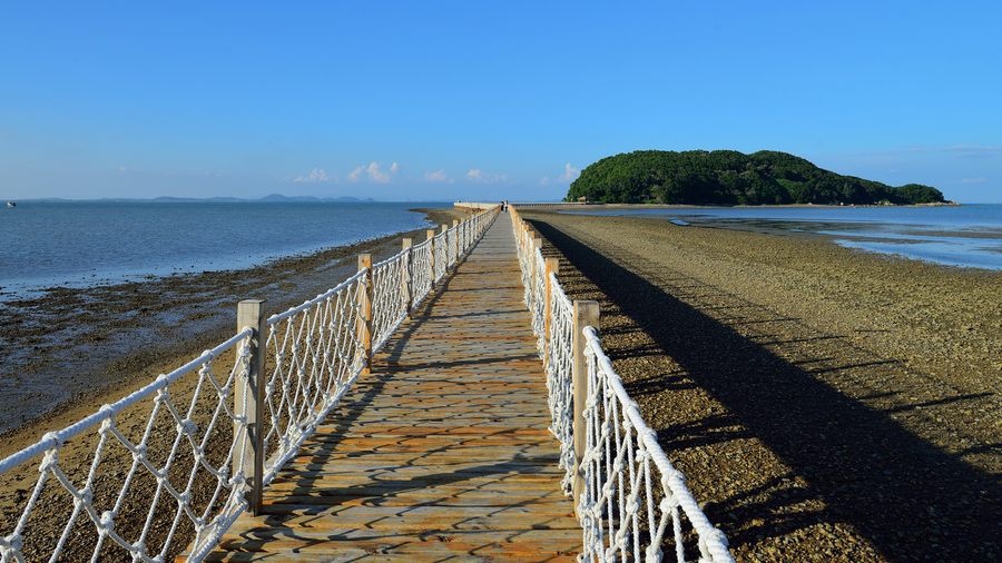 阳江红树林湿地公园