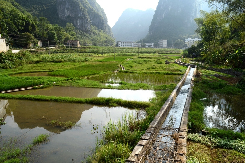 隆安布泉景色