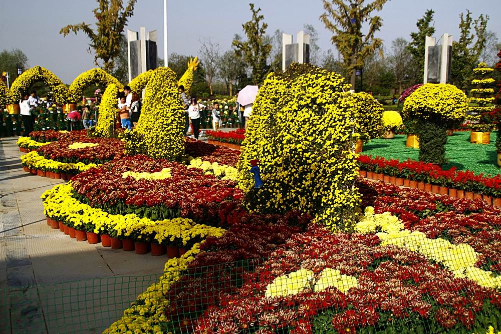 庆国庆菊花展