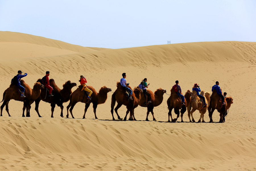 【金秋十月--沙漠驼铃摄影图片】风光旅游摄影