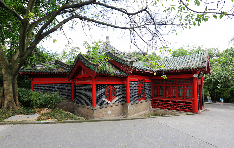 重庆鹅岭公园夏日小景2