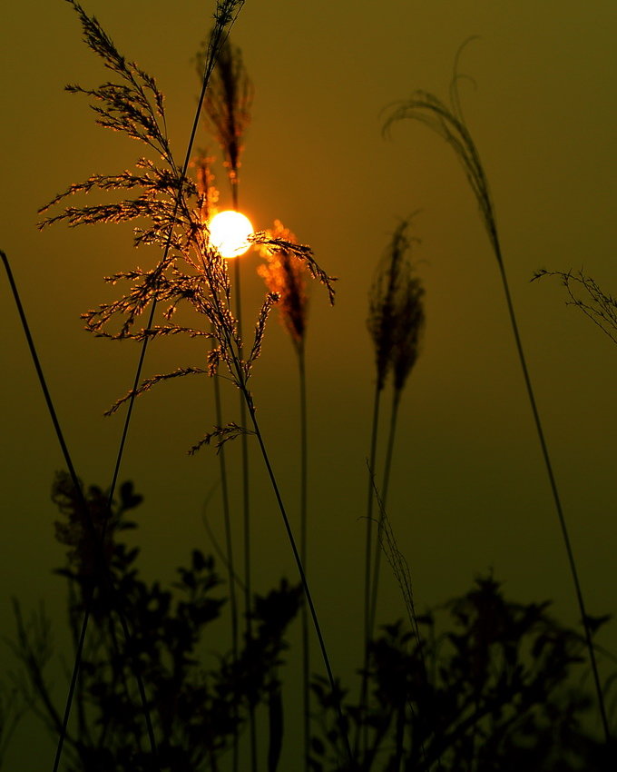 秋凉暖夕意