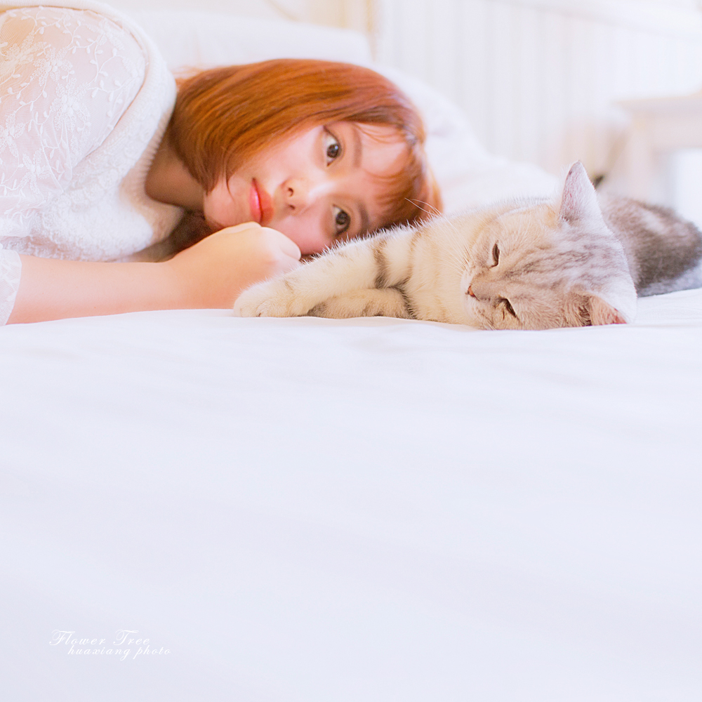 青春期的少女与猫