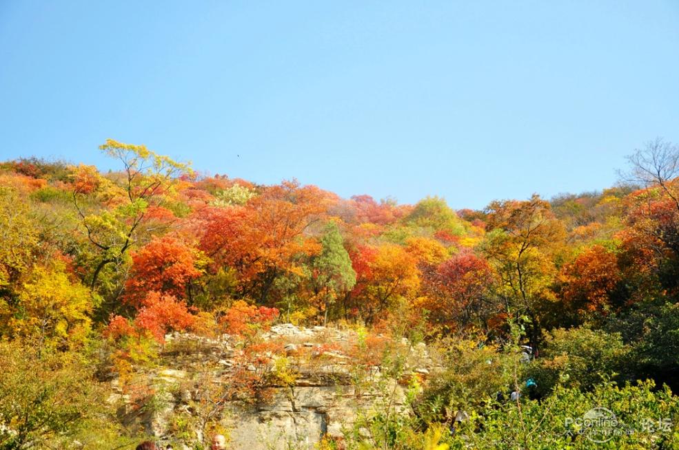 山东省临沂市蒙阴风光