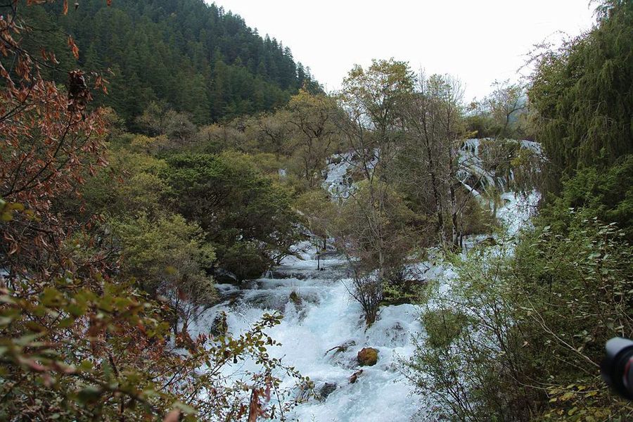 九寨沟树正海风光